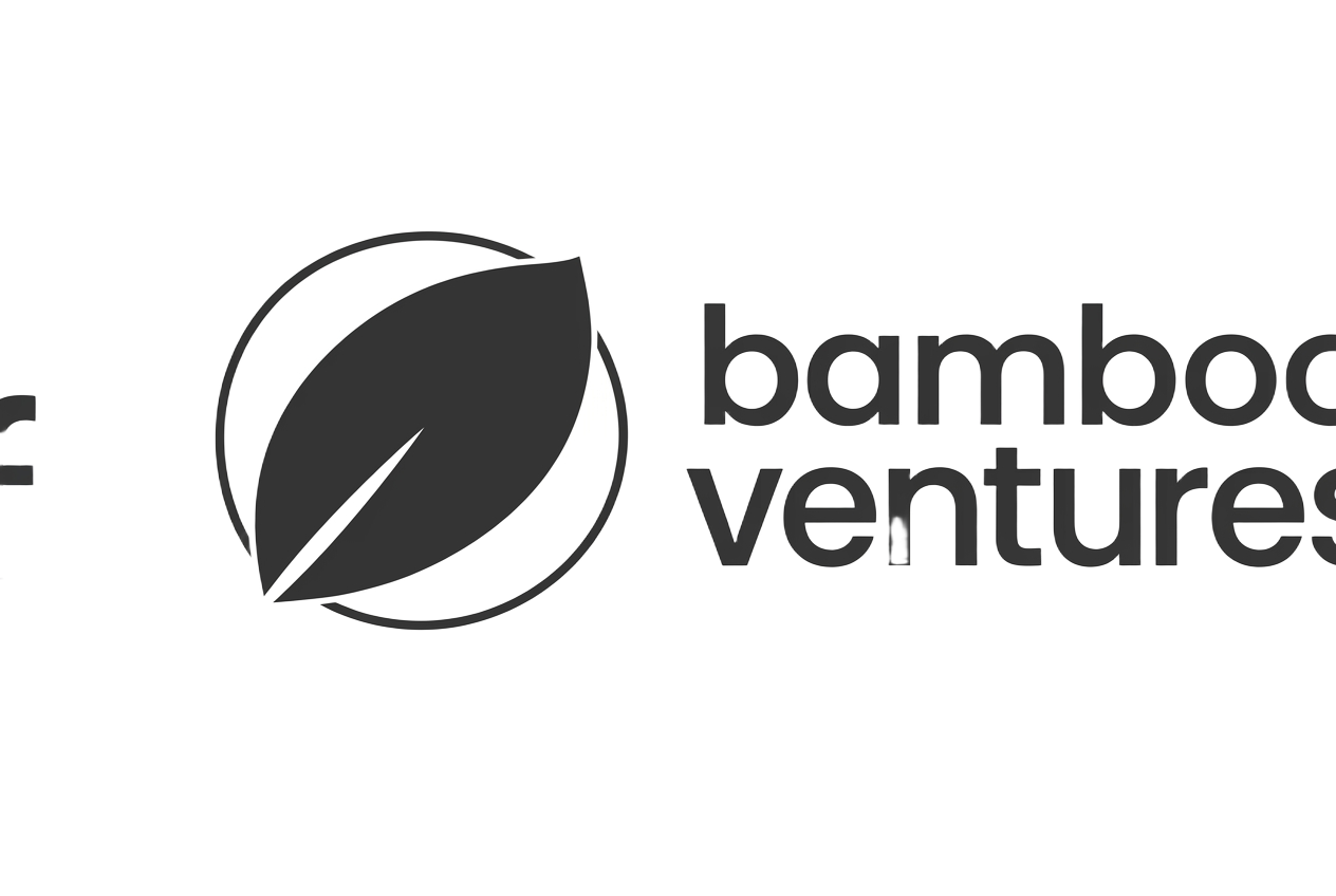 Bamboo Ventures